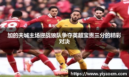 加的夫城主场迎战狼队争夺英超宝贵三分的精彩对决